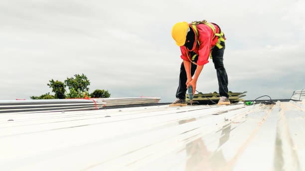 Best Skylight Installation and Repair  in Woodsboro, TX